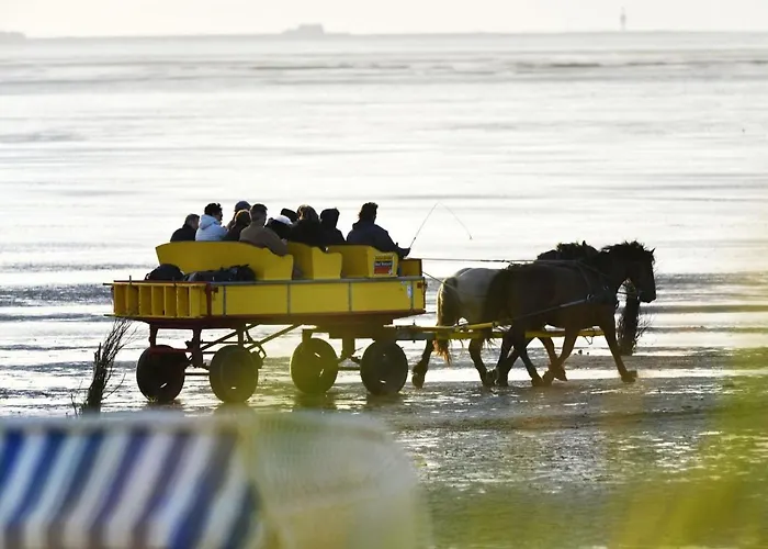 Am Sahlenburger Strand As19